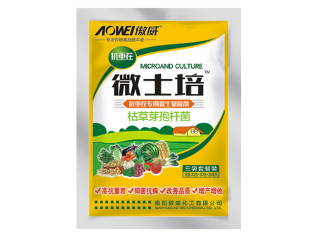 德州扑克游戏:贵州鲜食玉米培育栽培面积达888万亩