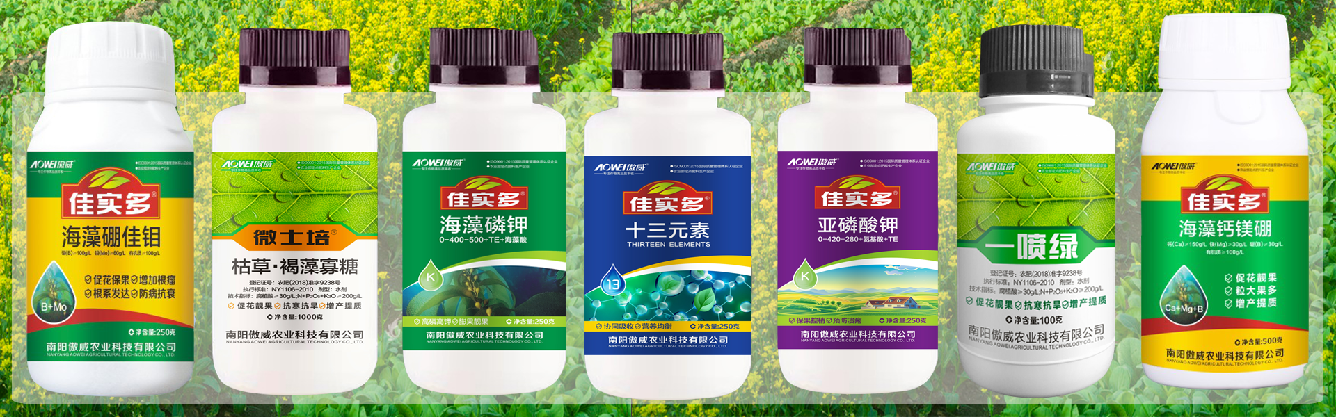 德州扑克网页版